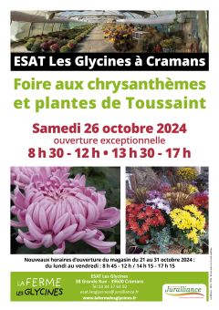 Chrysanthèmes et plantes de Toussaint